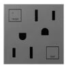 Legrand Adorne 15 Amps 125 V Single Silver GFCI Outlet 5-15 R 1 Pk