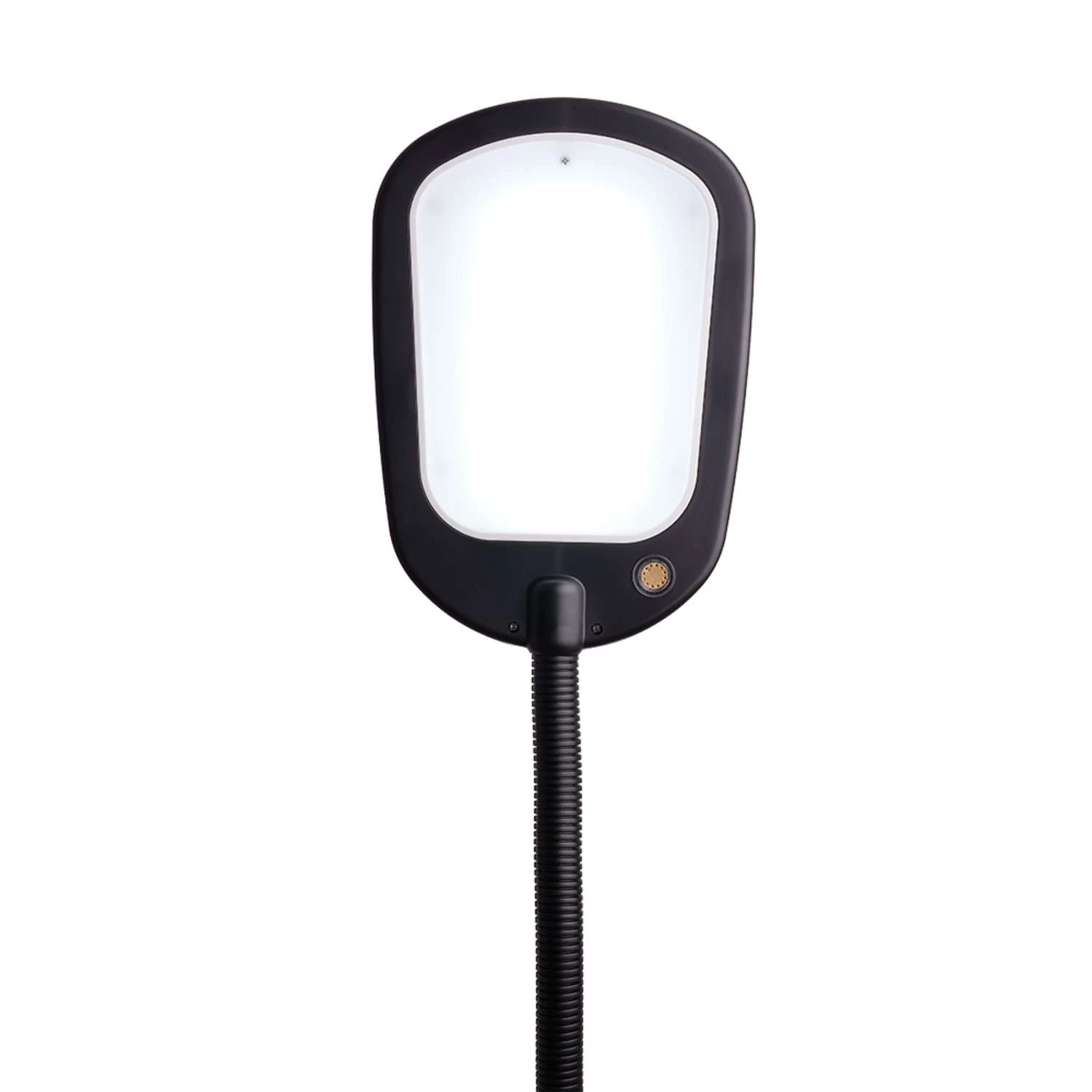 Newhouse Lighting Apollo 52 In. Black Floor Lamp - Image 3