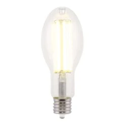 Westinghouse ED28 EX39 (Mogul) Filament LED Bulb Daylight 250 Watt Equivalence 1 Pk