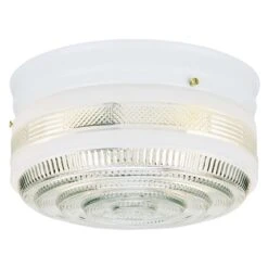 Westinghouse 5-1/4 In. H X 10-3/4 In. W X 10.75 In. L Ceiling Light