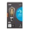 Feit LED Intellibulb ST19 E26 (Medium) LED Motion Activated Bulb Soft White 60 Watt Equivalence 1 Pk