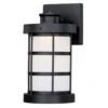 Westinghouse Barkley Matte Black Switch LED Light Fixture