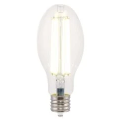 Westinghouse ED28 EX39 (Mogul) LED Bulb Daylight 200 Watt Equivalence 1 Pk