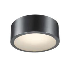 Globe Electric Edinburg 4.02 In. H X 11.03 In. W X 11.03 In. L Black Iron Ceiling Light