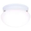 Westinghouse 4-3/8 In. H X 7-1/4 In. W X 7.25 In. L Ceiling Light