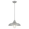 Westinghouse Iron Hill Galvanized Metallic 1 Lights Chandelier