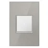 Legrand Adorne Metallic 1 Gang Thermoplastic Nylon Decorator Wall Plate 1 Pk