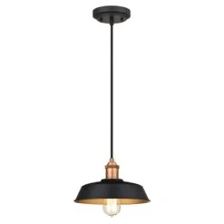 Westinghouse Ida Matte Black 1 Lights Pendant Light
