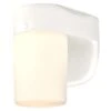 Westinghouse White Dusk To Dawn LED Lantern Fixture