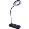Newhouse Lighting Zlata 12 In. Black Desk Lamp
