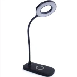 Newhouse Lighting Zlata 12 In. Black Desk Lamp