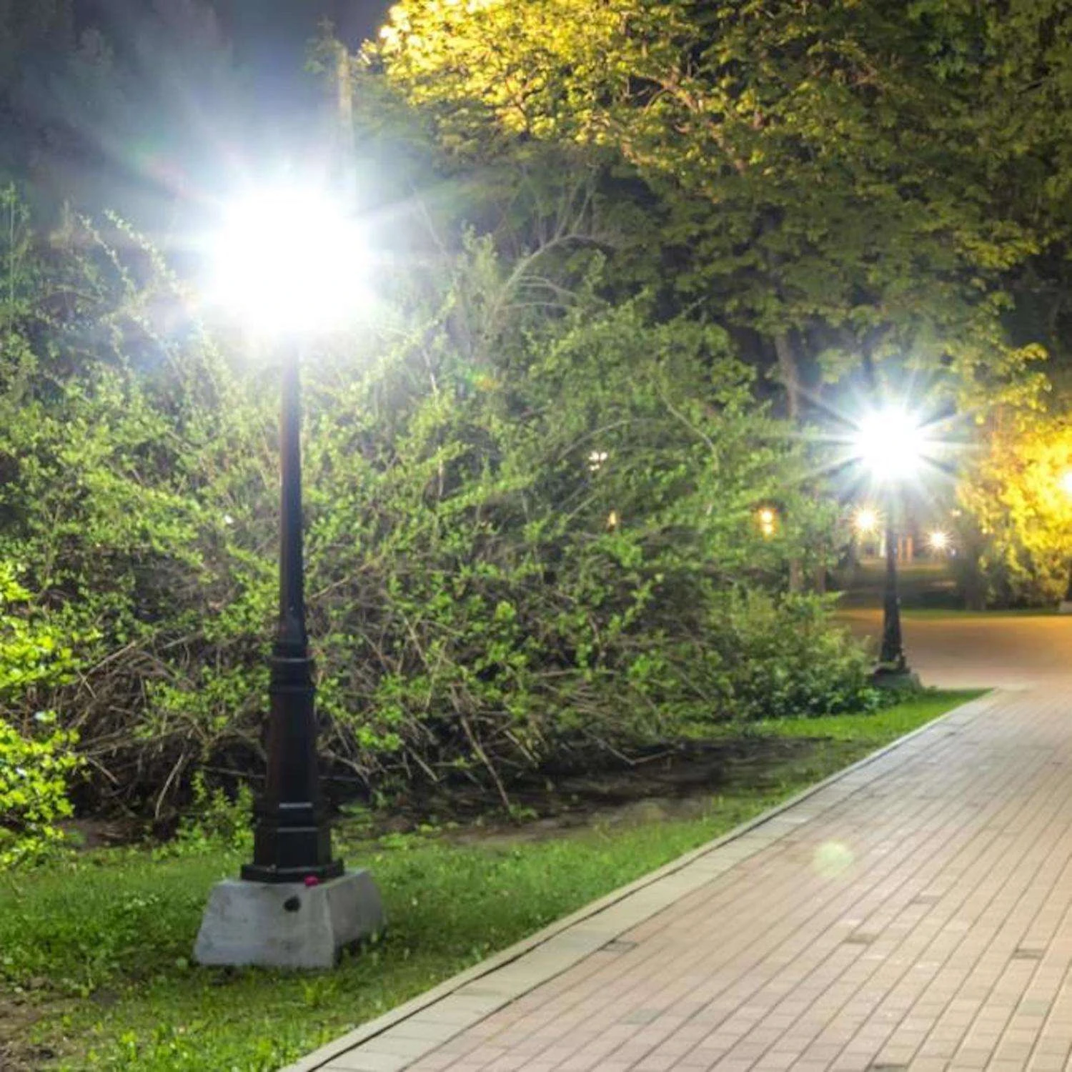 Westinghouse ED28 EX39 (Mogul) LED Bulb Daylight 200 Watt Equivalence 1 Pk - Image 5